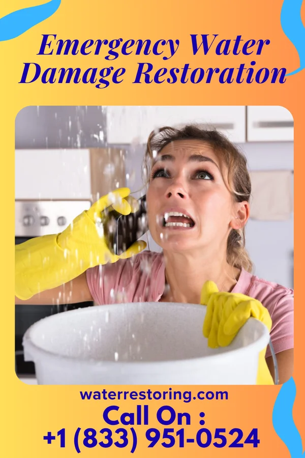 Emergency Water Damage Restoration in Bristol, TX